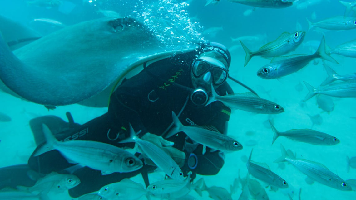 Scuba diving in Cuba - Discover the best preserved coral reef in the world