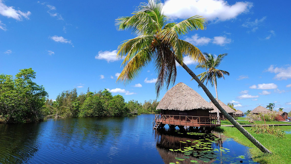 Cuba's best-kept secret: La Cienaga de Zapata