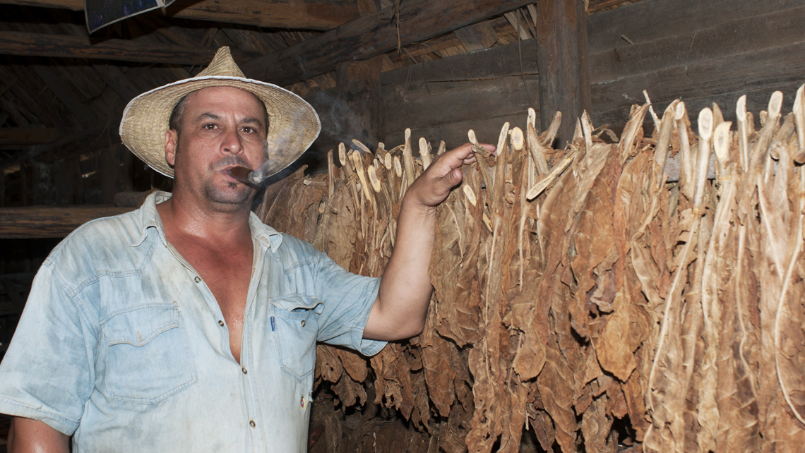 Ten fun facts about Cuban cigars